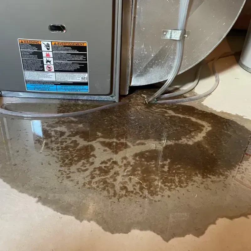 Appliance Leak Cleanup in Wood-Ridge, NJ